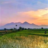 Nhậ