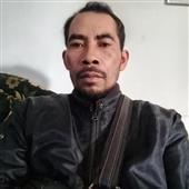 Dự 