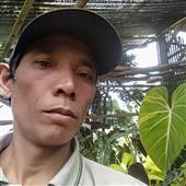 Fir