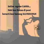 Cú 