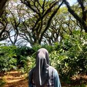 Đội