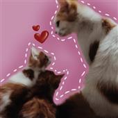 Mol