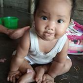 Quy