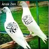Rồn