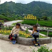 Tân