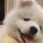 Bắn