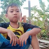 Giả