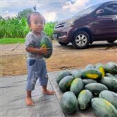 Bản