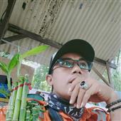 Cỏ 