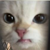 EWC