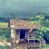 độn