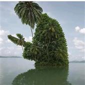 Rồn