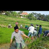 Trự