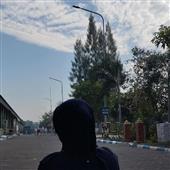 Giả