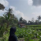 Sự 