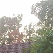 Lịc