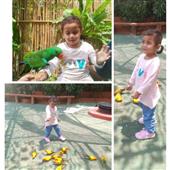 Zeu