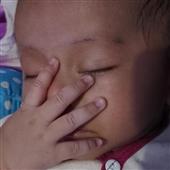 Bản