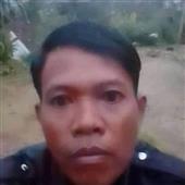 Fir