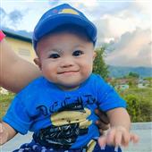 Giả