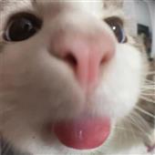 Đón