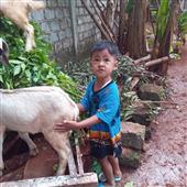 Đặt