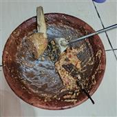 Luậ