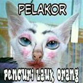 Các