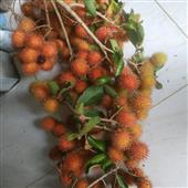 Thủ