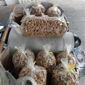 Luậ