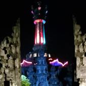 Gấu