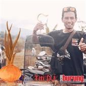 Tại