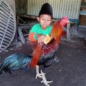 Nữ 