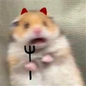 Cầu