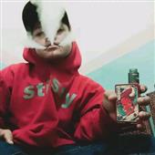 Bầy