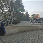 Vị 