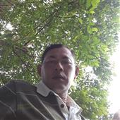 Vợt