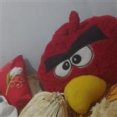 Cán