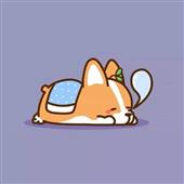 Đua