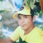 Bầy