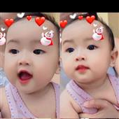 Lịc
