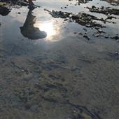 Mar