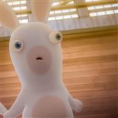 Chú