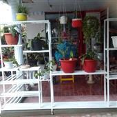 Quầ