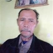 Giả