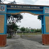 Nôn