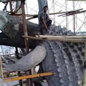 Sự 