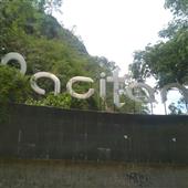 Ngư