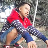 Gà 