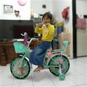 Giả